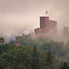 Pfalz - mystischer Morgen an der Burg Trifels