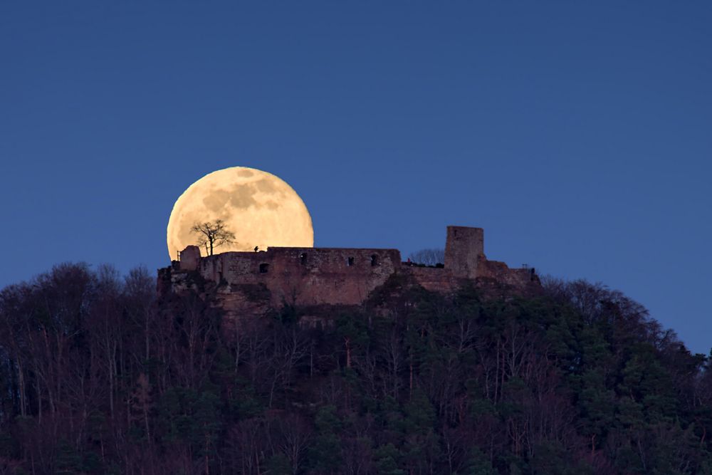 Pfalz - Narrenmond über der Burg Lindelbrunn
