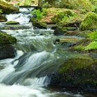 Pfalz - Natürlche Wasserspiele