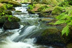 Pfalz - Natürlche Wasserspiele