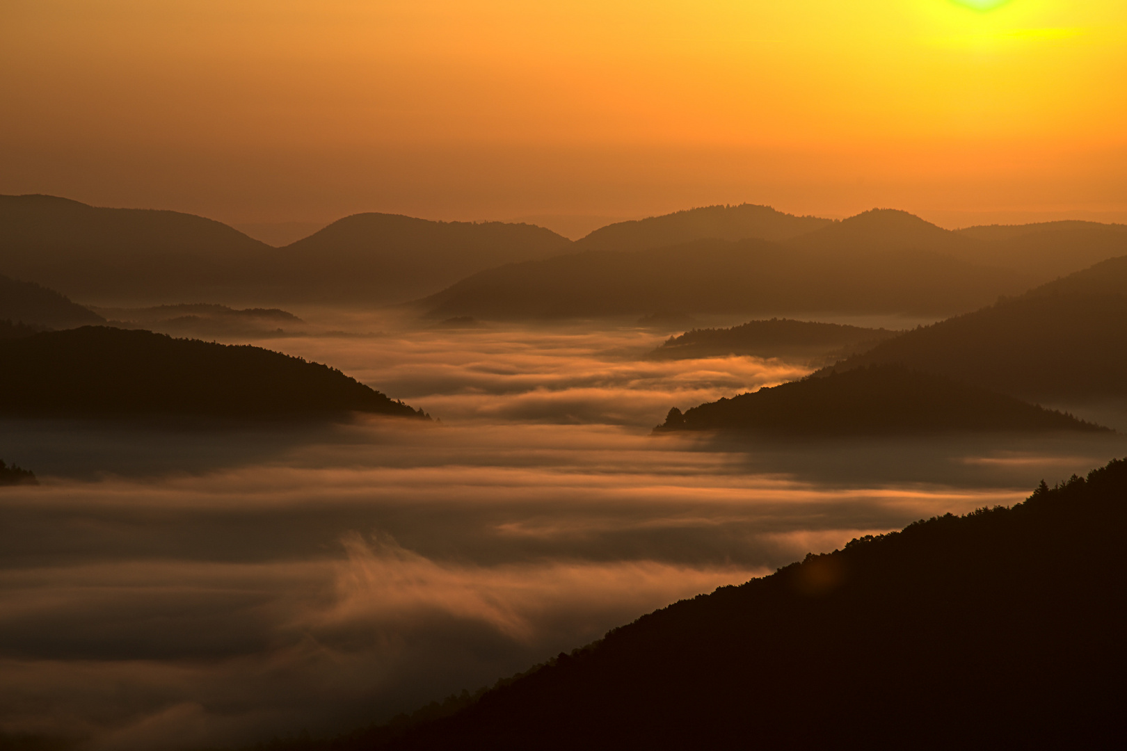 Pfalz - Nebel und Sonne