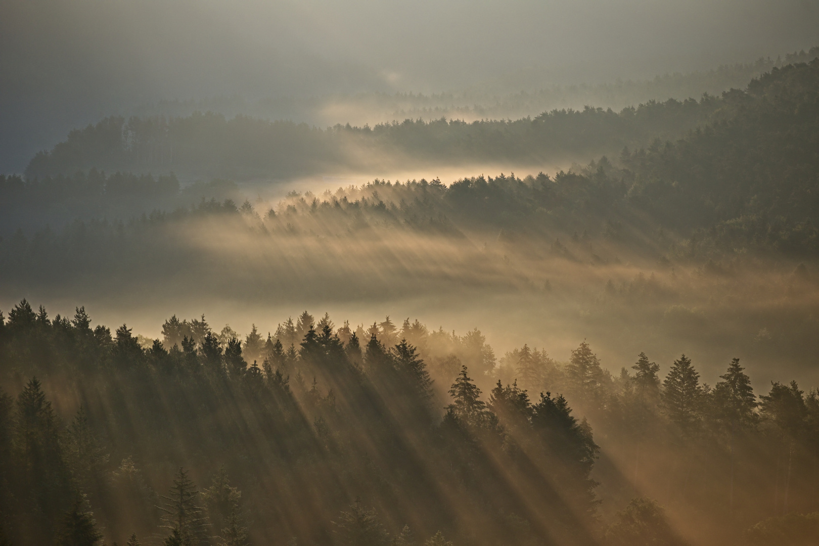Pfalz - Nebelkontraste zum Sonnenaufgang