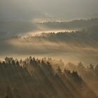 Pfalz - Nebelkontraste zum Sonnenaufgang