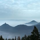 Pfalz - Nebelmeer am Trifels