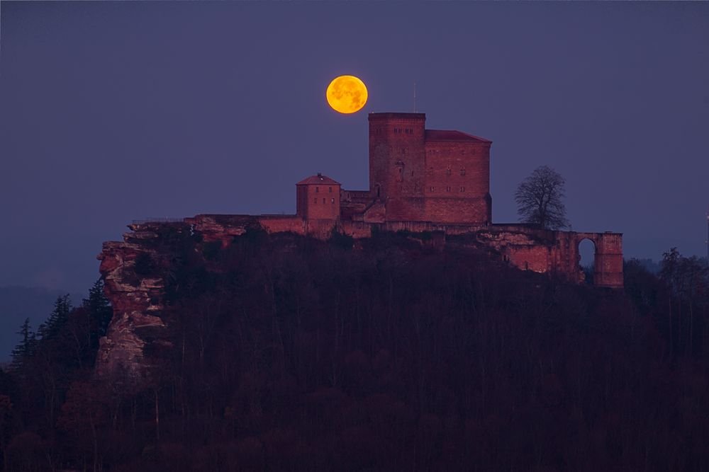 Pfalz - Nebelmond heute ohne Nebel