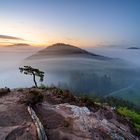 Pfalz - Nebelschichten zum Sonnenaufgang