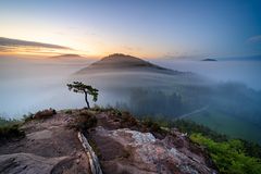 Pfalz - Nebelschichten zum Sonnenaufgang