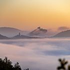 Pfalz - Nebelspiele zum Sonnenaufgang