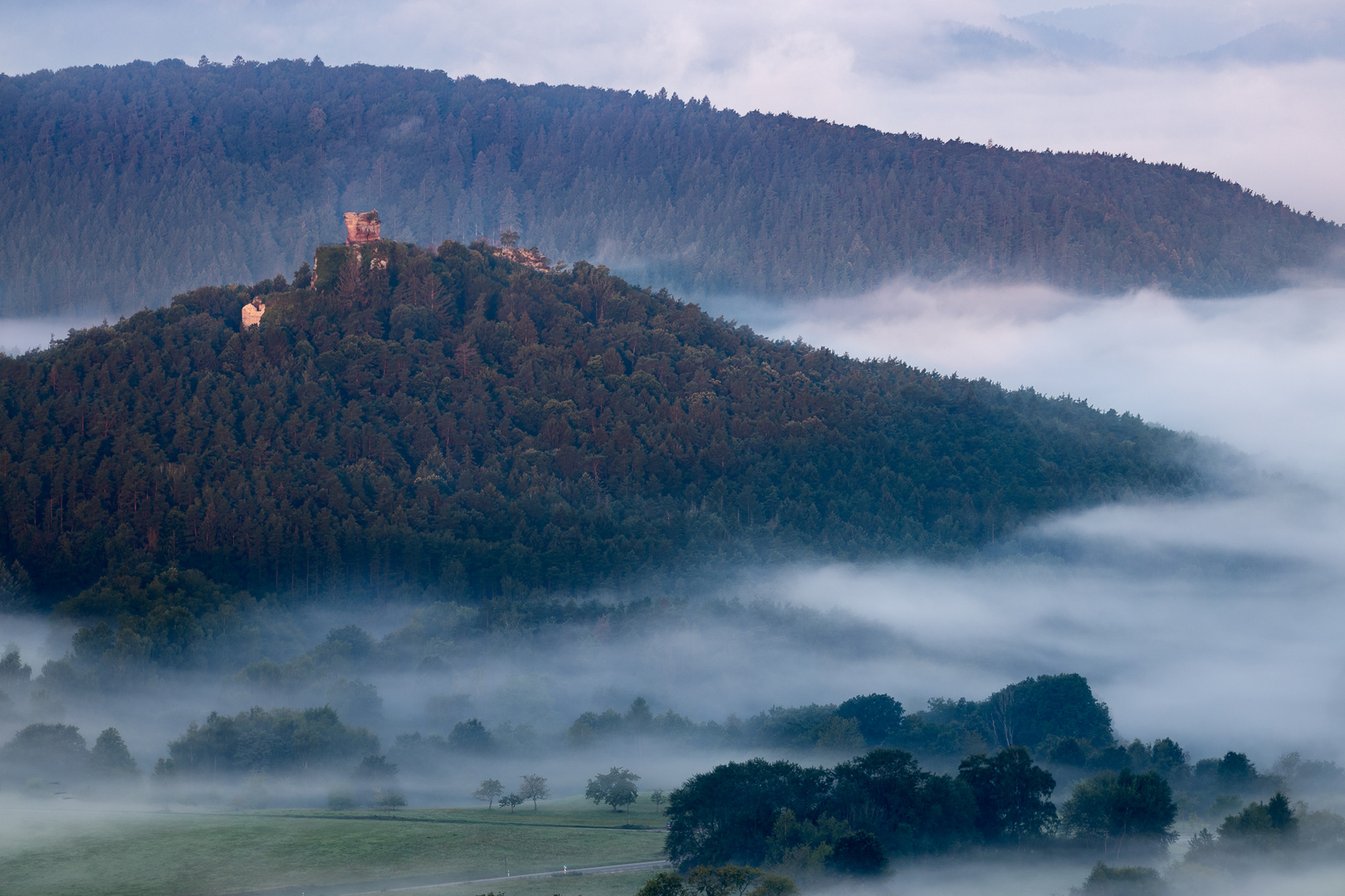 Pfalz - Neues aus der Wetterküche