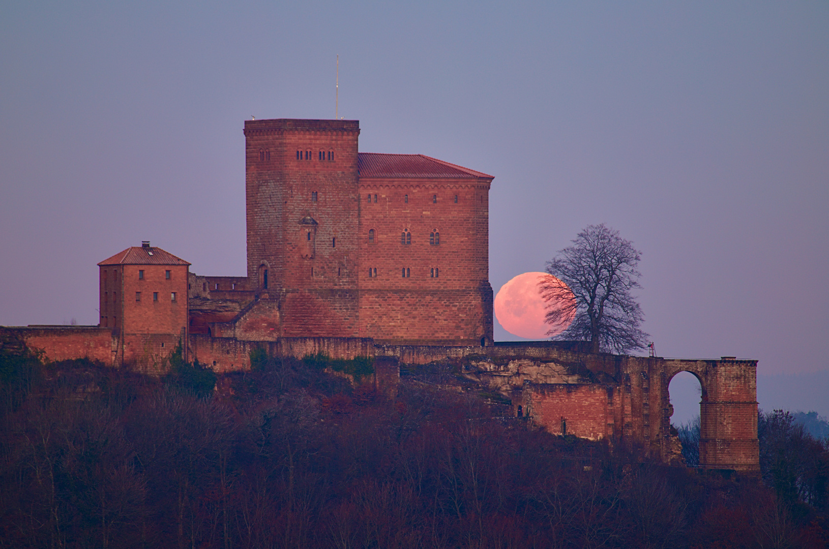 Pfalz - Novembermond zur bunten Stunde