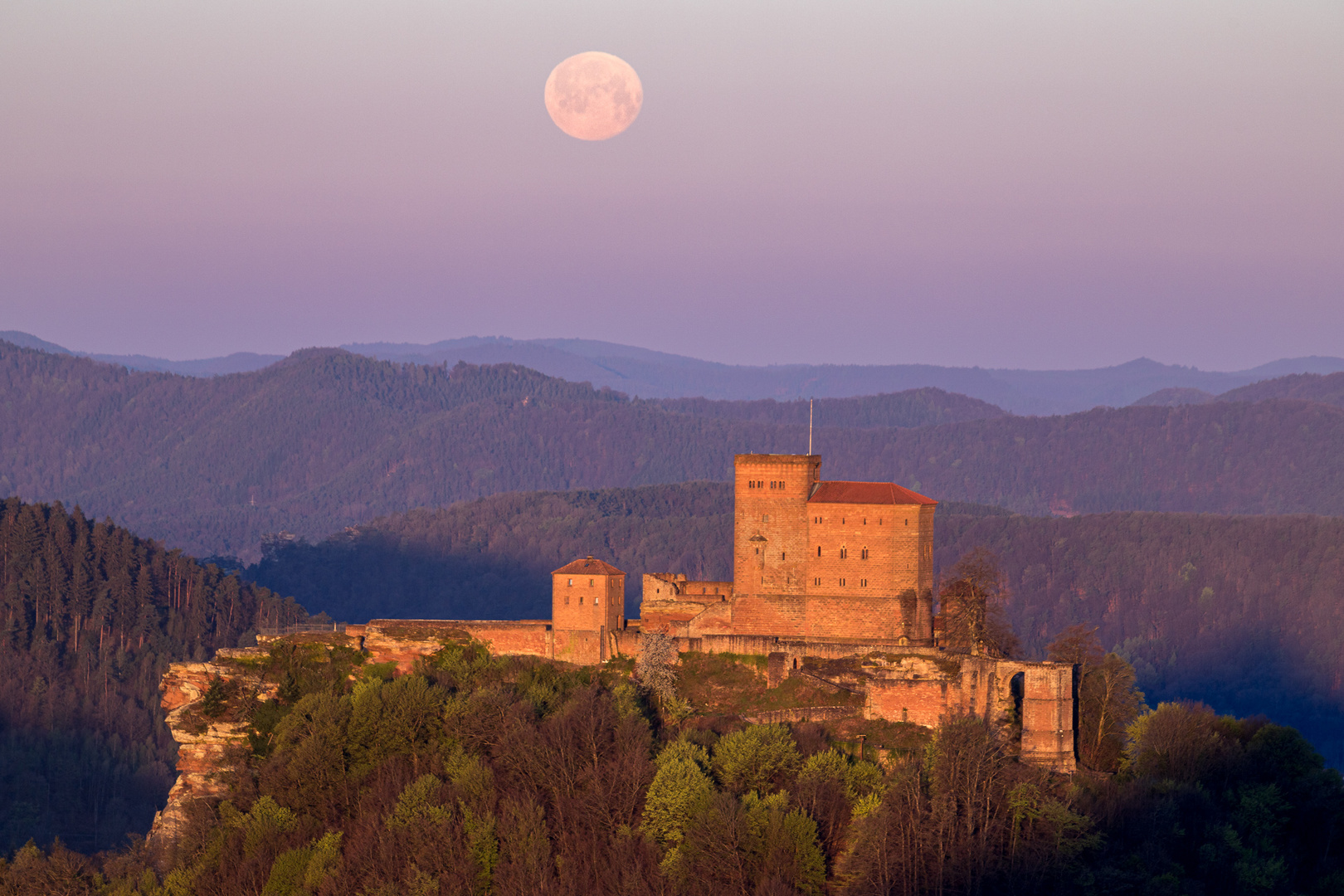 Pfalz - Ostermond zum Sonnenaufgang an der Burg Trifels