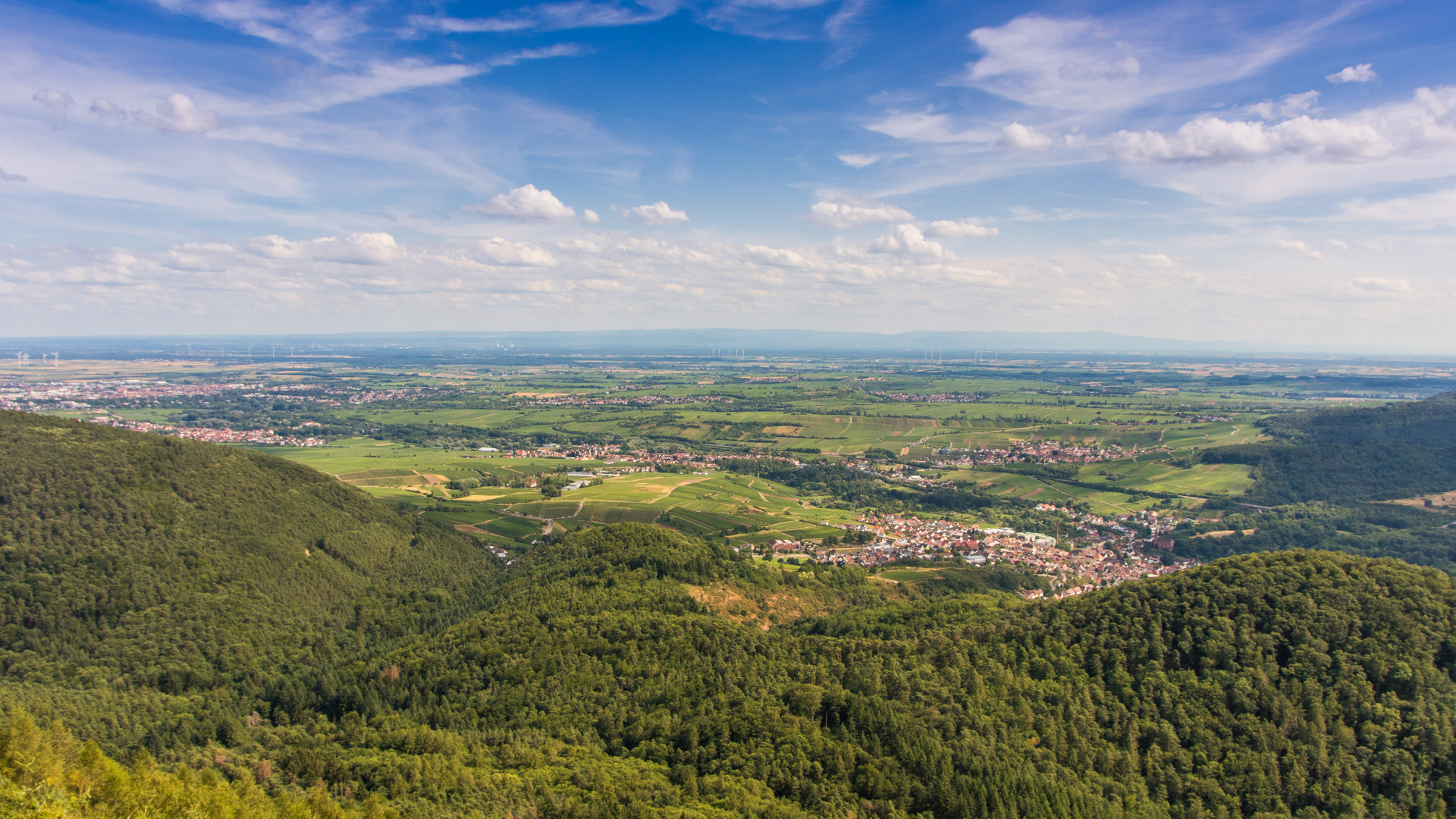 Pfalz - Panorama