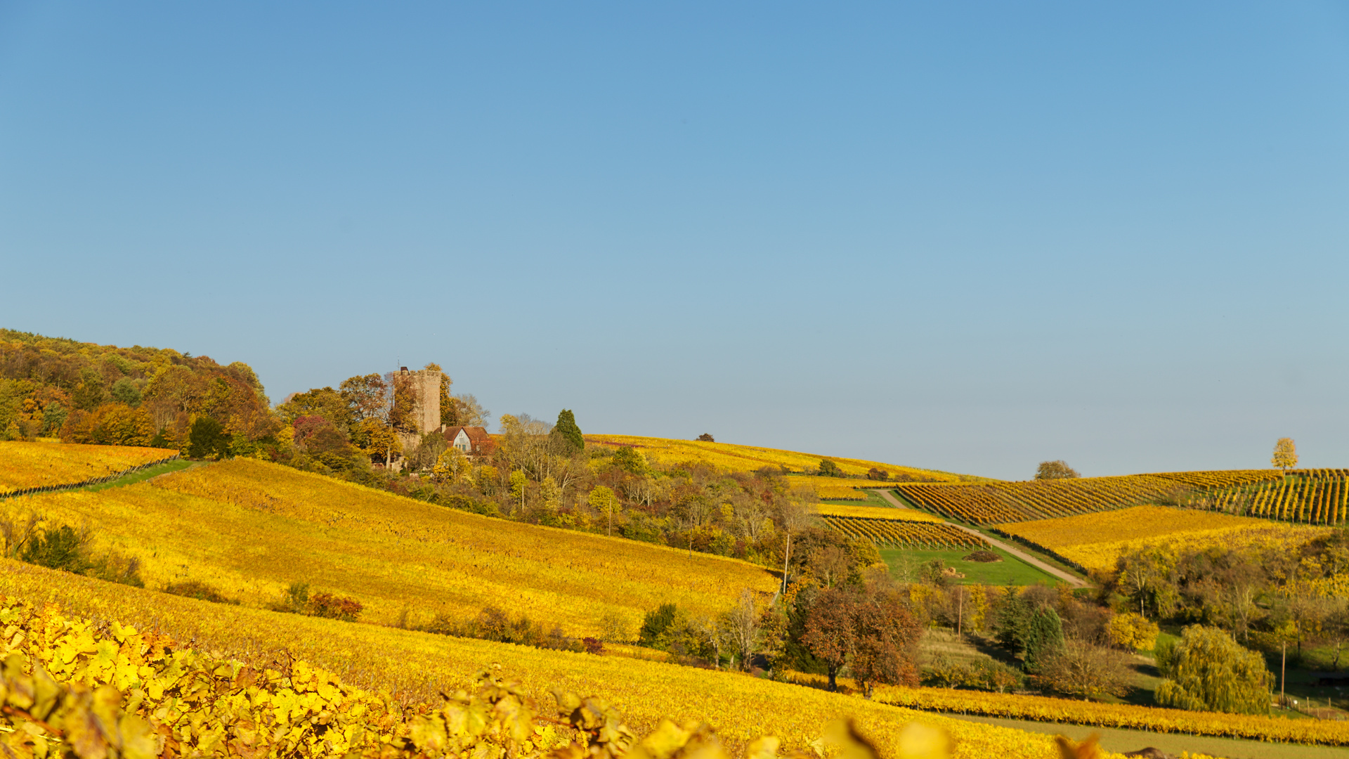   Pfalz - Pfälzer Herrlichkeit