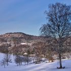 Pfalz - seltene Winterpracht im Pfälzerwald (Reedit)