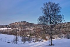 Pfalz - seltene Winterpracht im Pfälzerwald (Reedit)