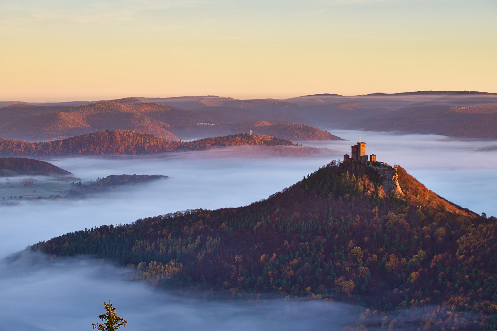 Pfalz - so golden war der Herbst lange nicht