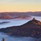 Pfalz - so golden war der Herbst lange nicht