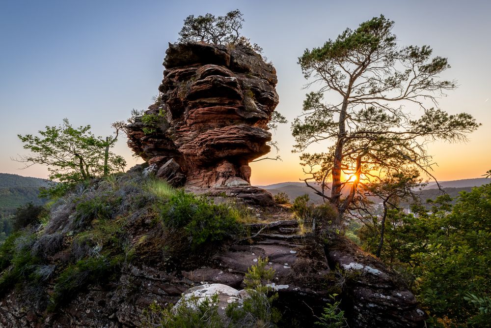 Pfalz - Sommerabend