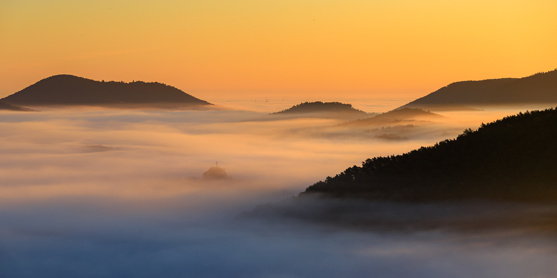 Pfalz - Sonne und Nebel