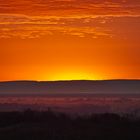 Pfalz - Sonnenaufgang überm Schwarzwald