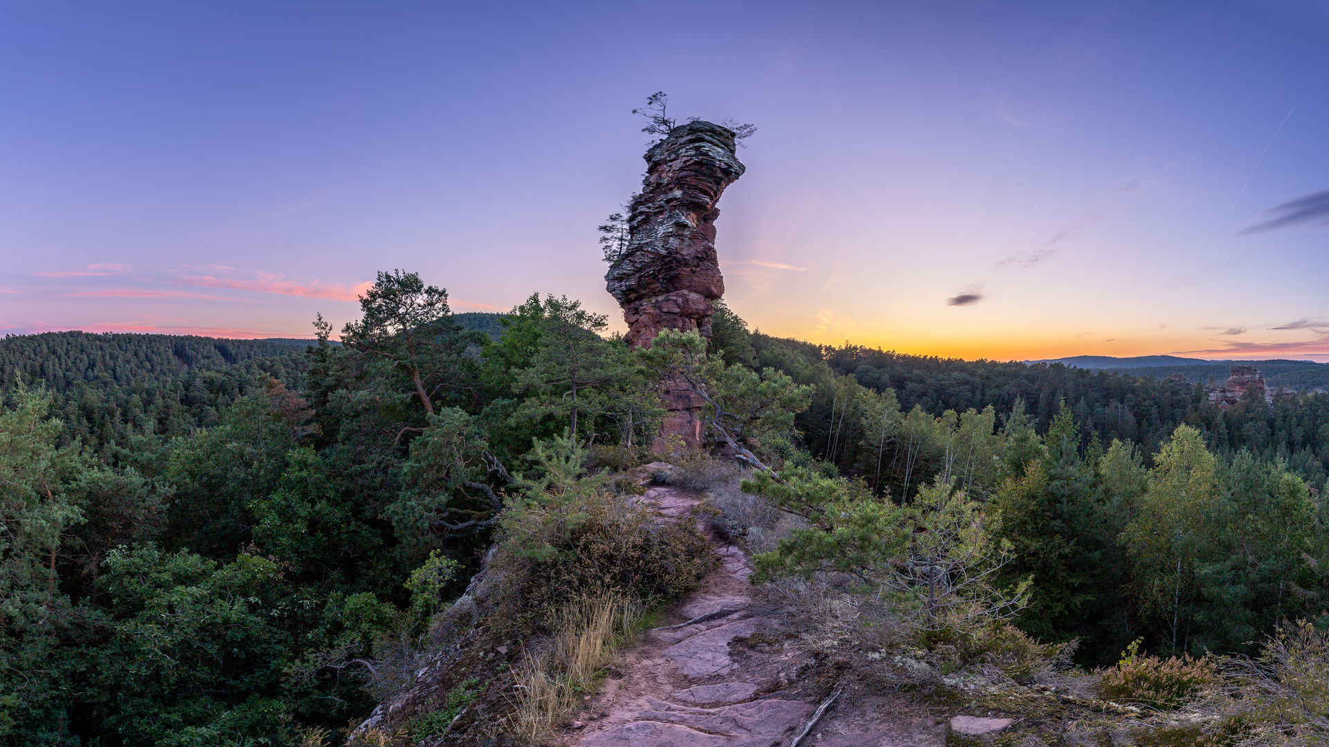 Pfalz - Spätsommerabend auf dem Felsen