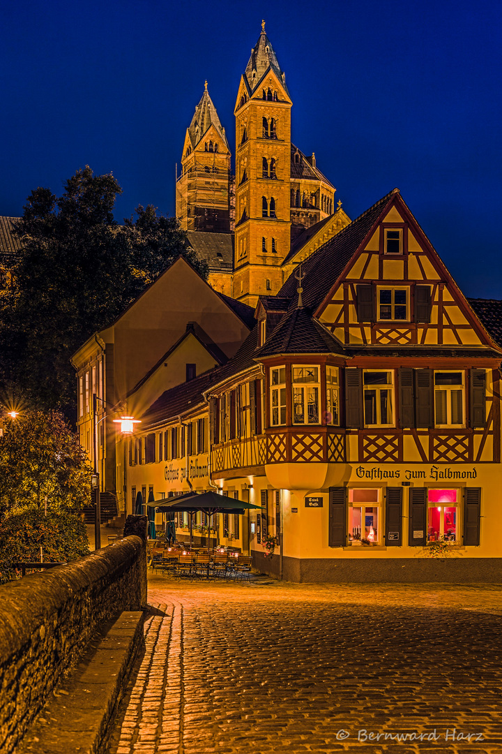 Pfalz - Speyer