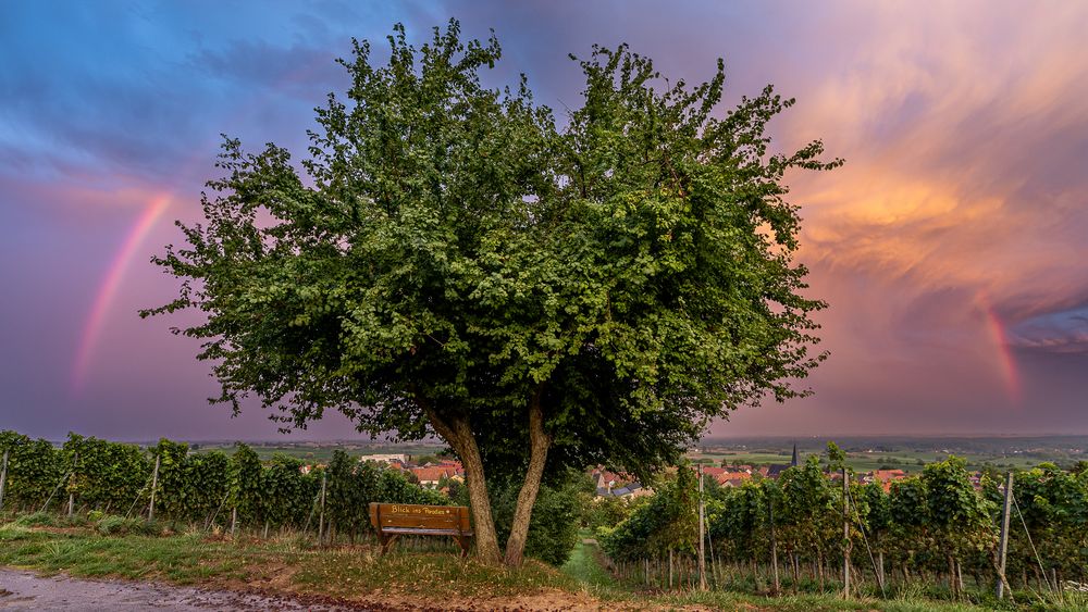 Pfalz - Surreales Wetterspiel