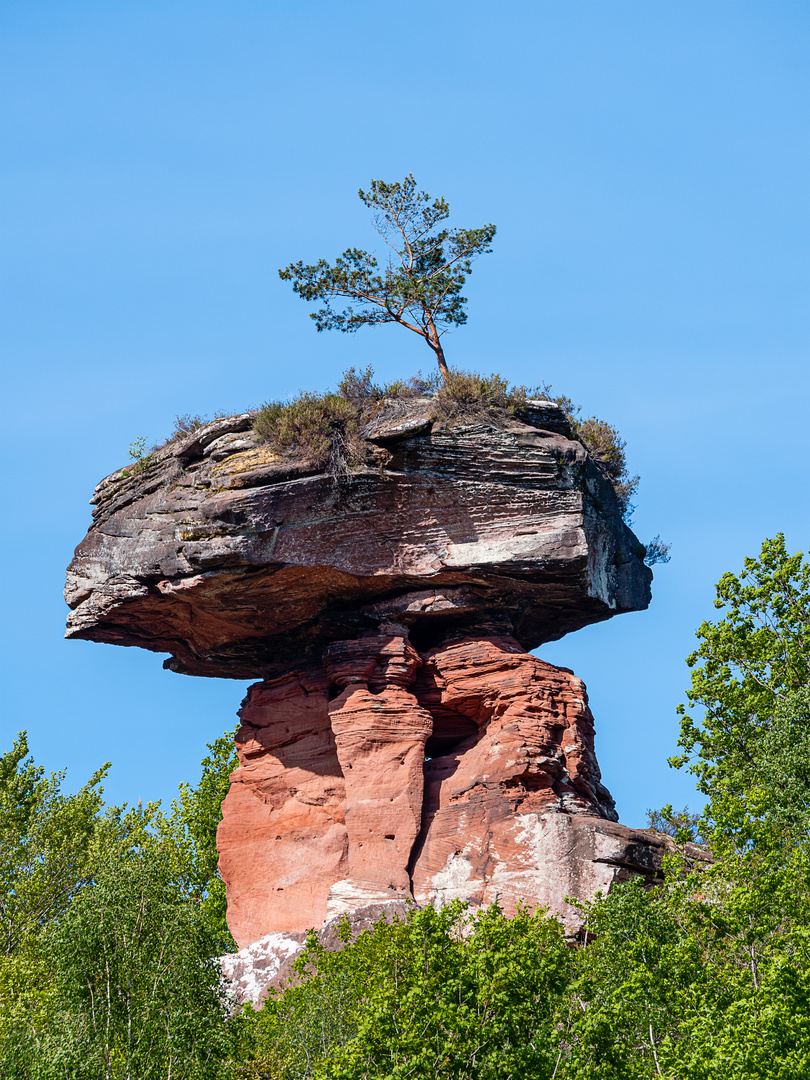 Pfalz. Teufelstisch