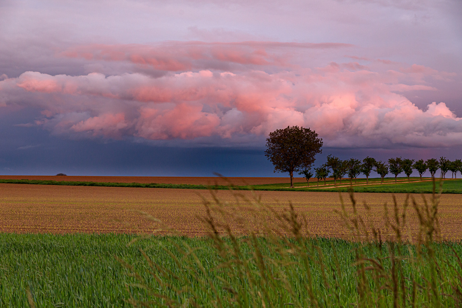 Pfalz - und die Wetterlotterie geht weiter