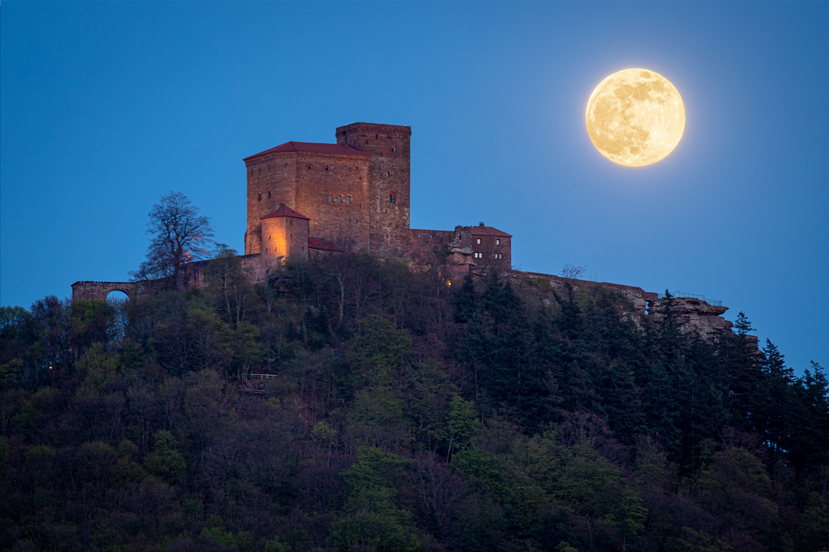 Pfalz - Vollmond an der Burg Trifels