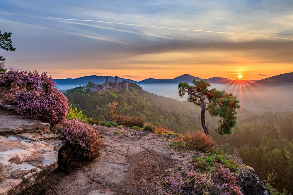 Pfalz - was ein wunderschöner Morgen, letzter Teil