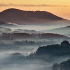 Pfalz - zarte Nebel überm Wasgau