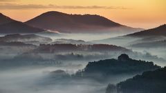 Pfalz - zarte Nebel überm Wasgau