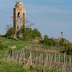 Pfalz. Zellertaler Ehrenmal.