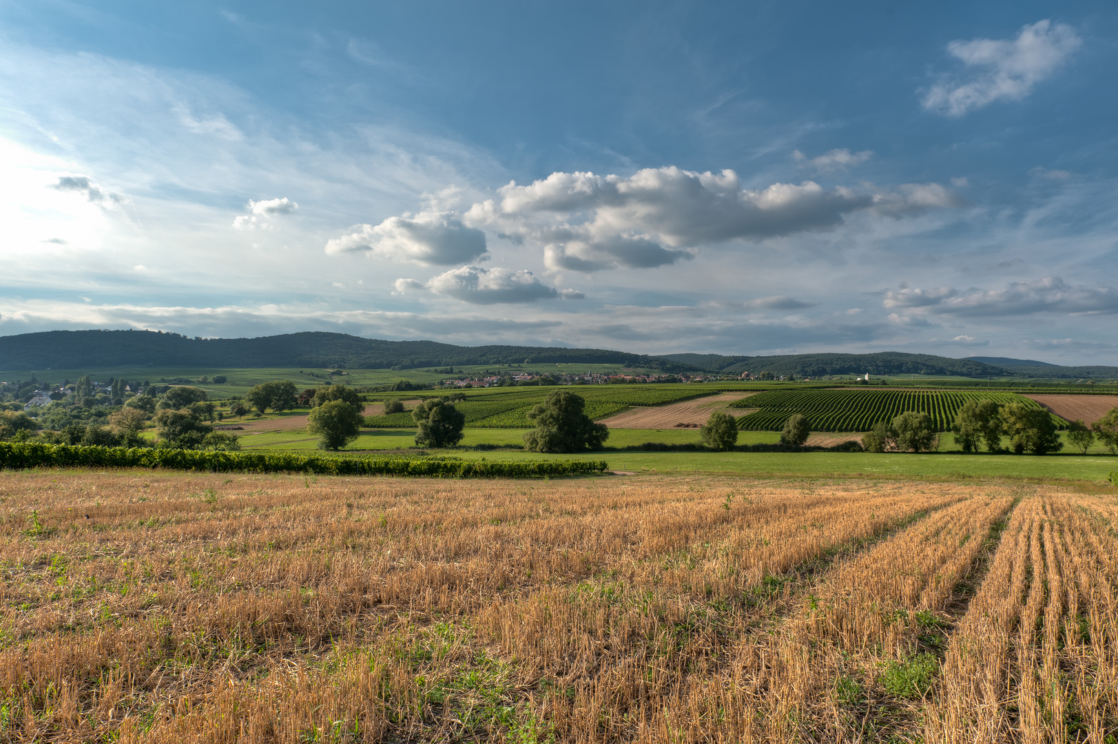 Pfalzblick