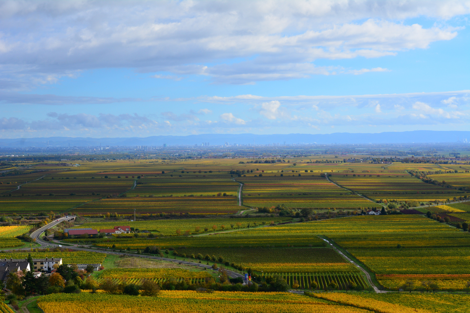 Pfalzblick über die herbstliche Weinstrasse