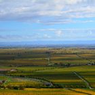 Pfalzblick über die herbstliche Weinstrasse