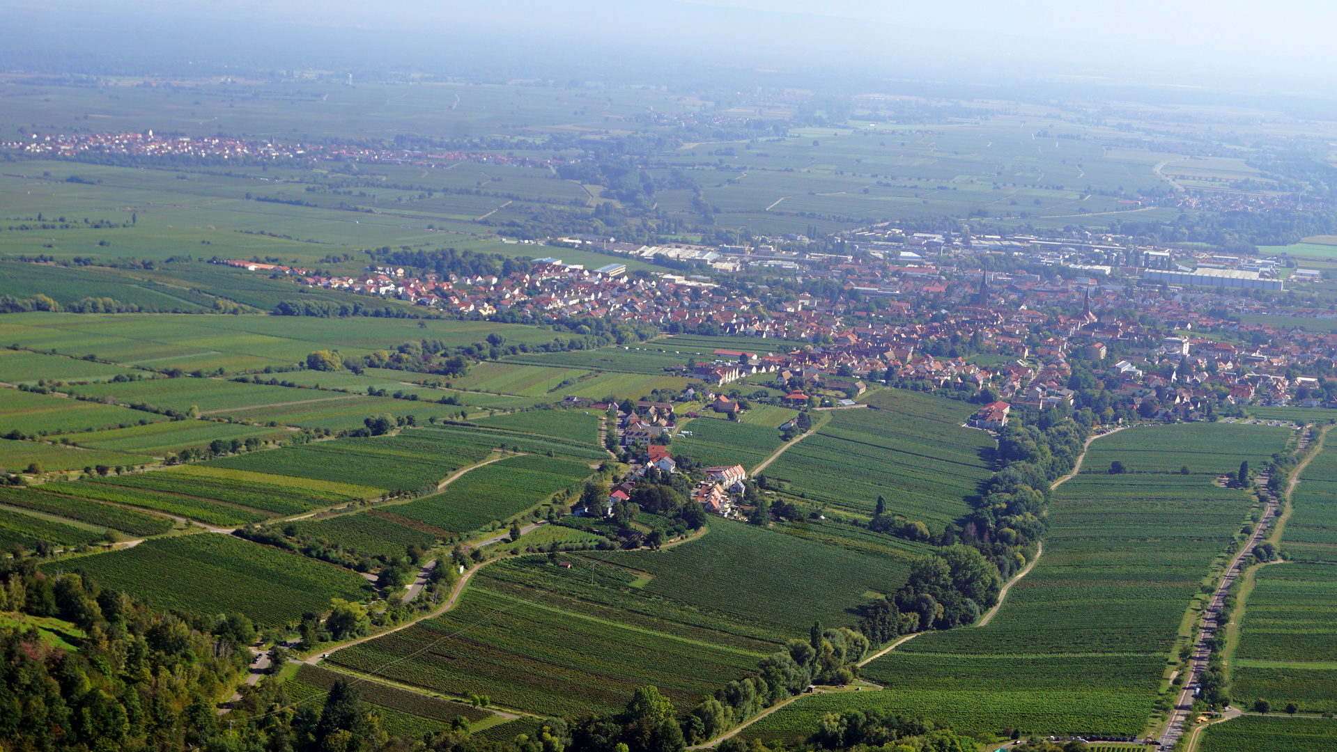 Pfalzblick von der Rietburg