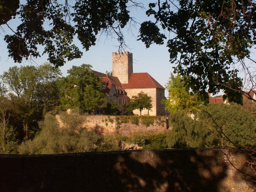 Pfalzgrafenburg2