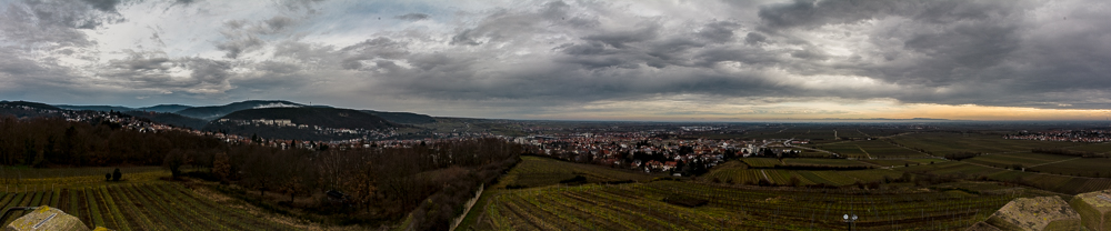 Pfalzpanorama