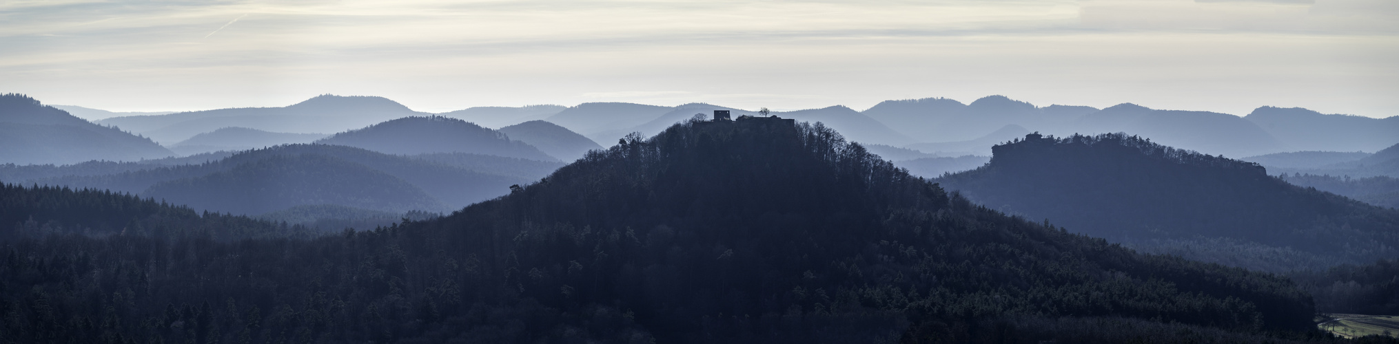 Pfalzpanorama