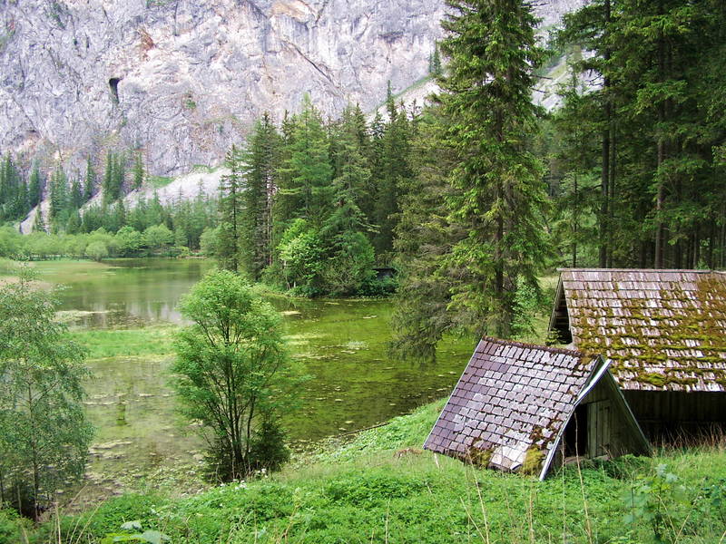 Pfarrerlacke, ein Paradies für ............