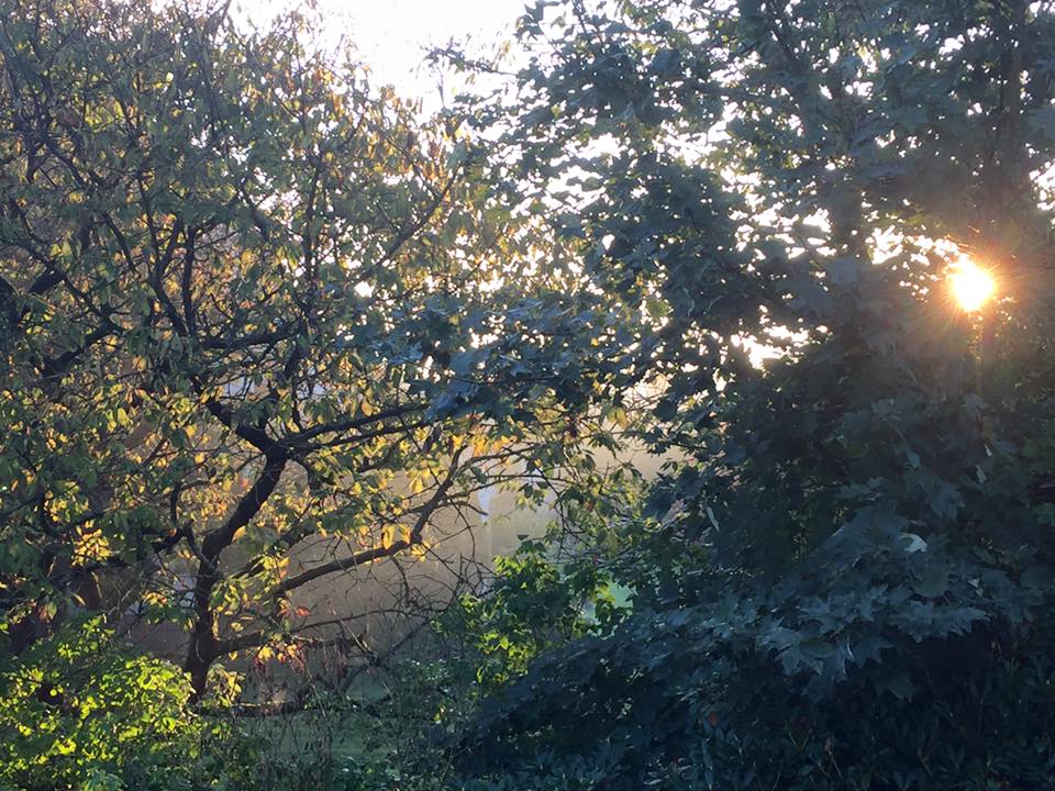 Pfarrgarten im Herbst