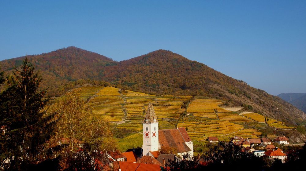 Pfarrkirche Spitz a.d. Donau/Wachau