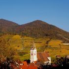 Pfarrkirche Spitz a.d. Donau/Wachau