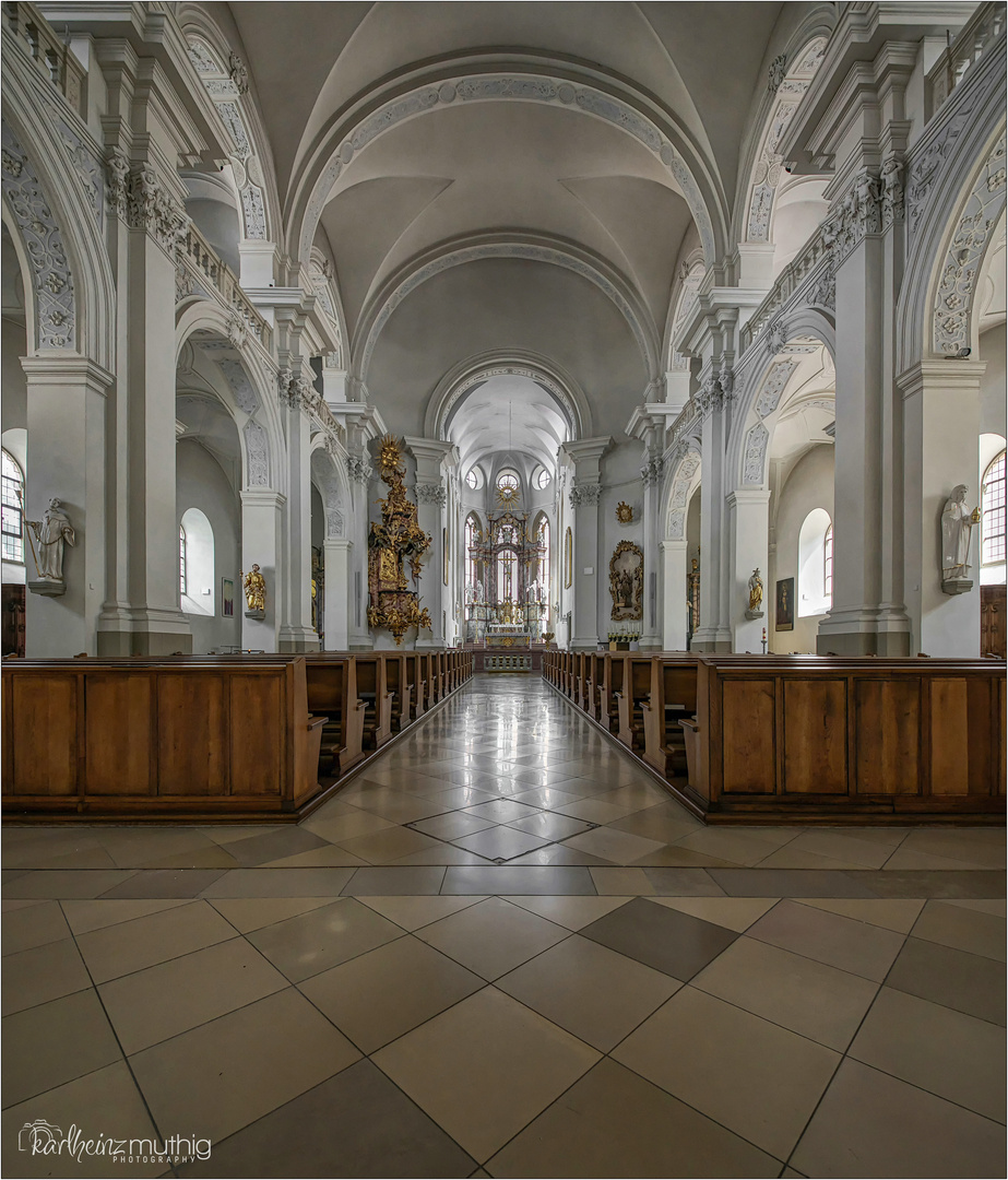 Pfarrkirche St. Peter und Paul - Würzburg " Gott zu Gefallen... "