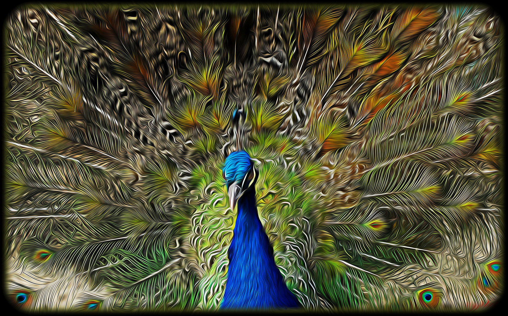 Pfau