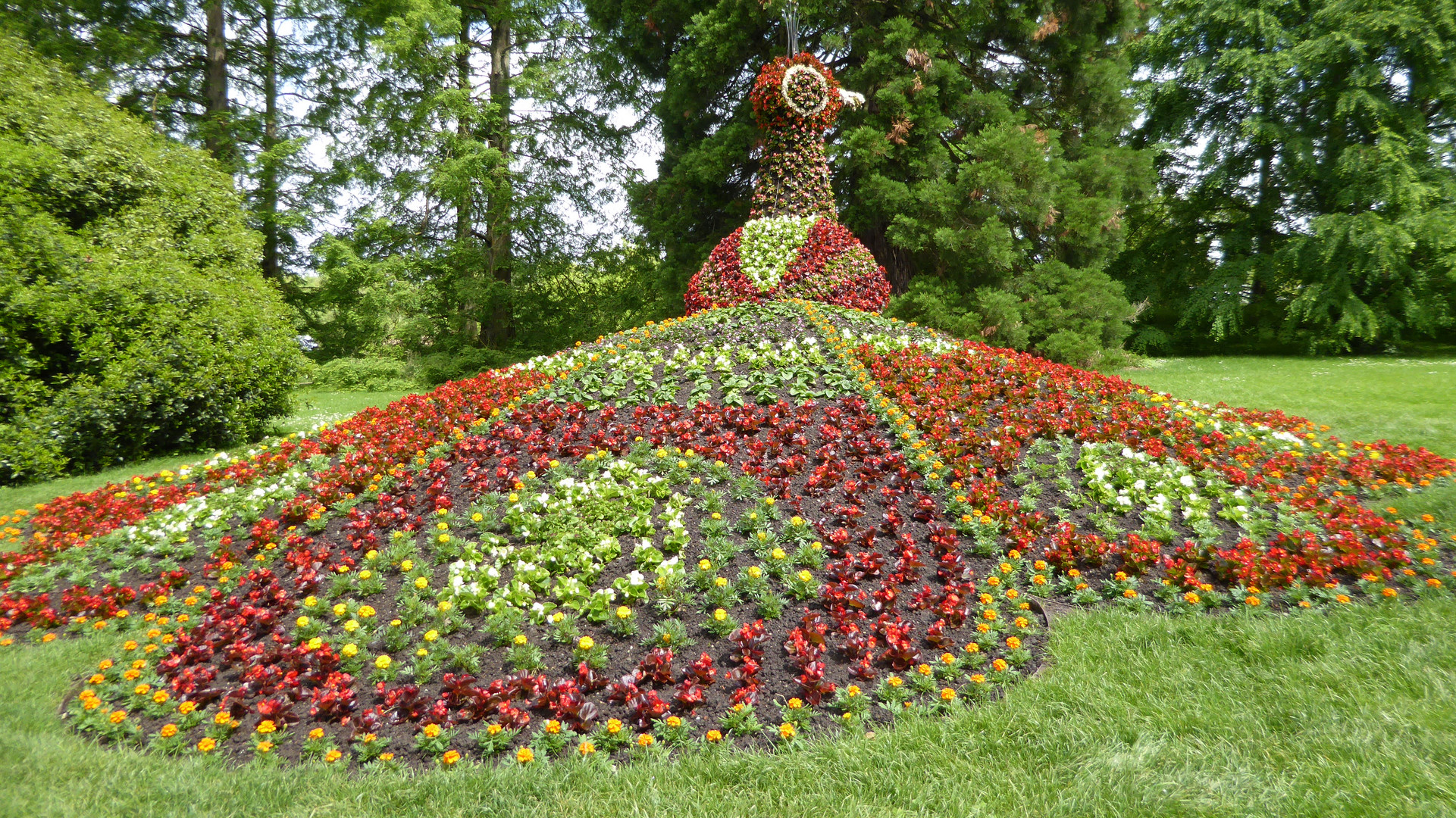 Pfau auf der Insel Mainau