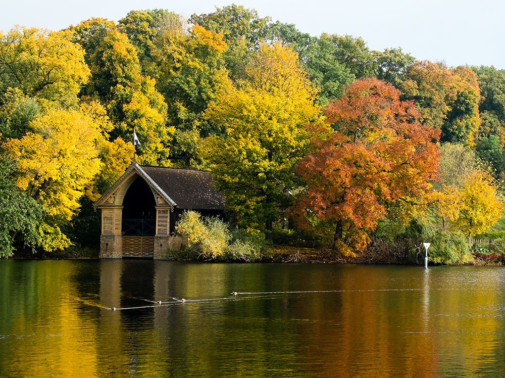 Pfaueninsel