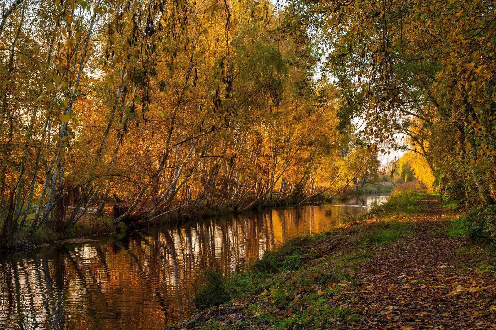 Pfefferfließ im Herbst